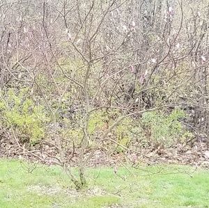 Meet your Posher, Dorothy